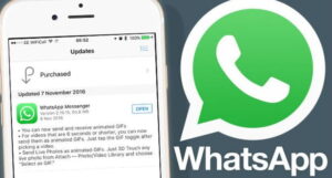 Coba 8 Trik WhatsApp Ini Ternyata Sangat Unik dan Bermanfaat