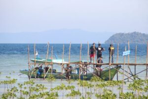 Edukasi Penanaman Mangrove di Pesisir Lampung