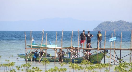 Edukasi Penanaman Mangrove di Pesisir Lampung