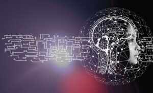 Bachelor of Science Artificial Intelligence Business in Production
