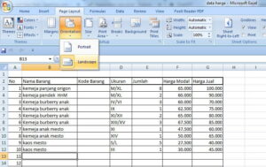Bagaimana Cara Mengubah Tampilan Sheet Pada Microsoft Excel Menjadi Landscape?