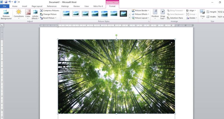 Jangan Asal Tempel! Urutan Perintah yang Digunakan untuk Menyisipkan Gambar / Foto di Dokumen Word Adalah Seperti Ini!